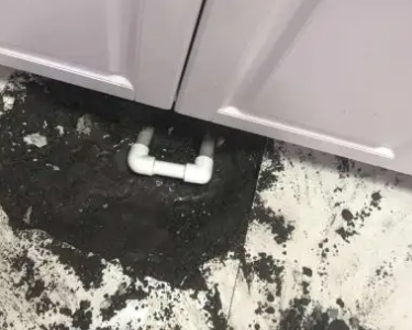 八公山查漏水哪家好